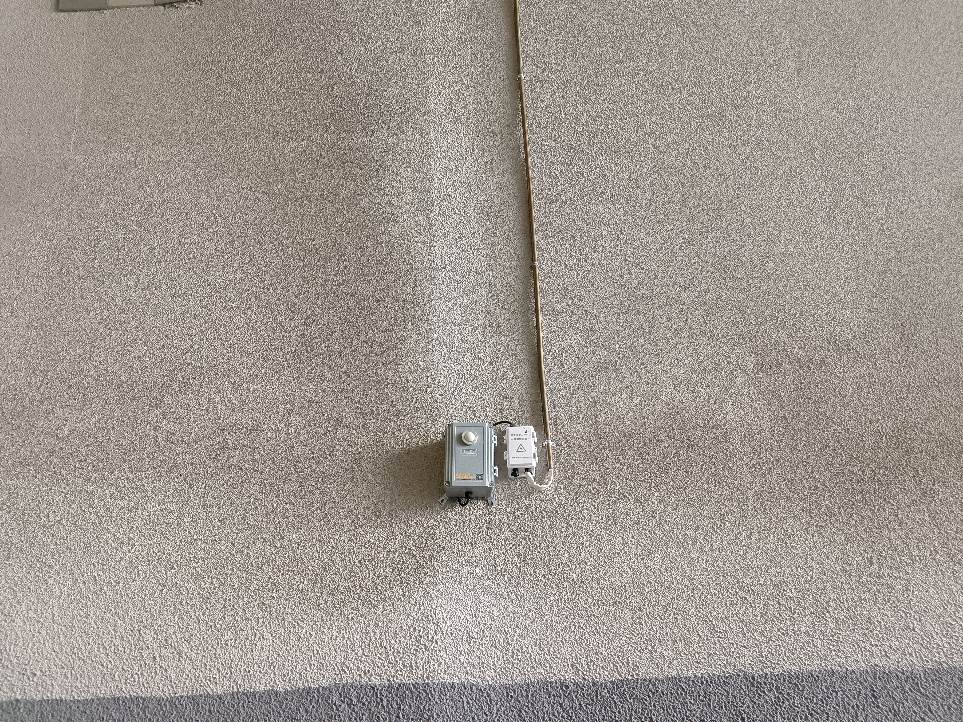 56917910.jpg